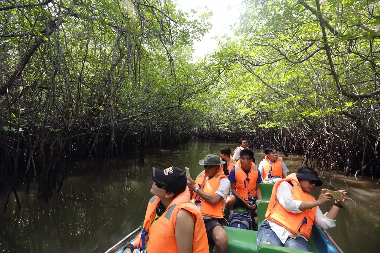 Mangrove Discovery Tour in Bintan
