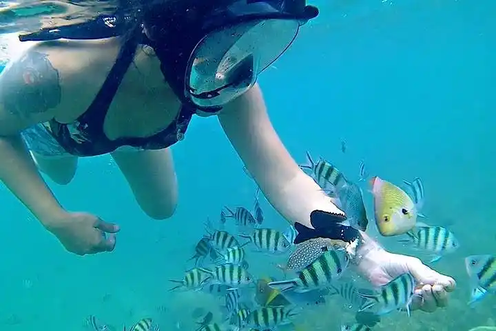 Snorkeling activity in Bintan