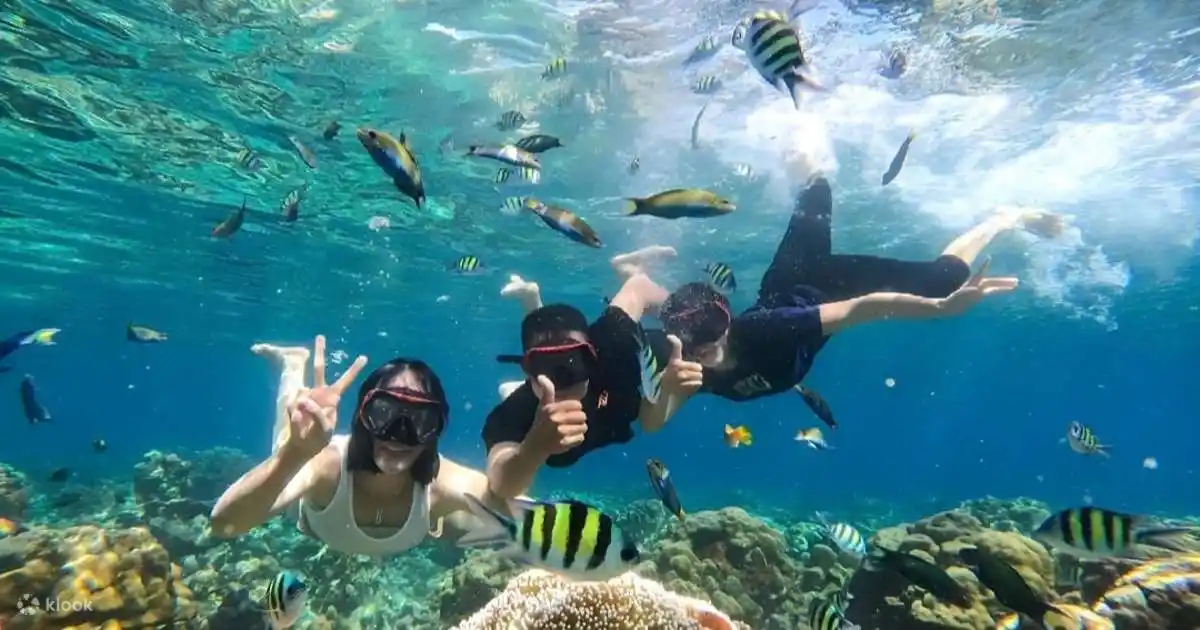 Clear water snorkeling tour moment