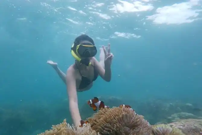 Snorkeling trip with clear tropical water in Bintan