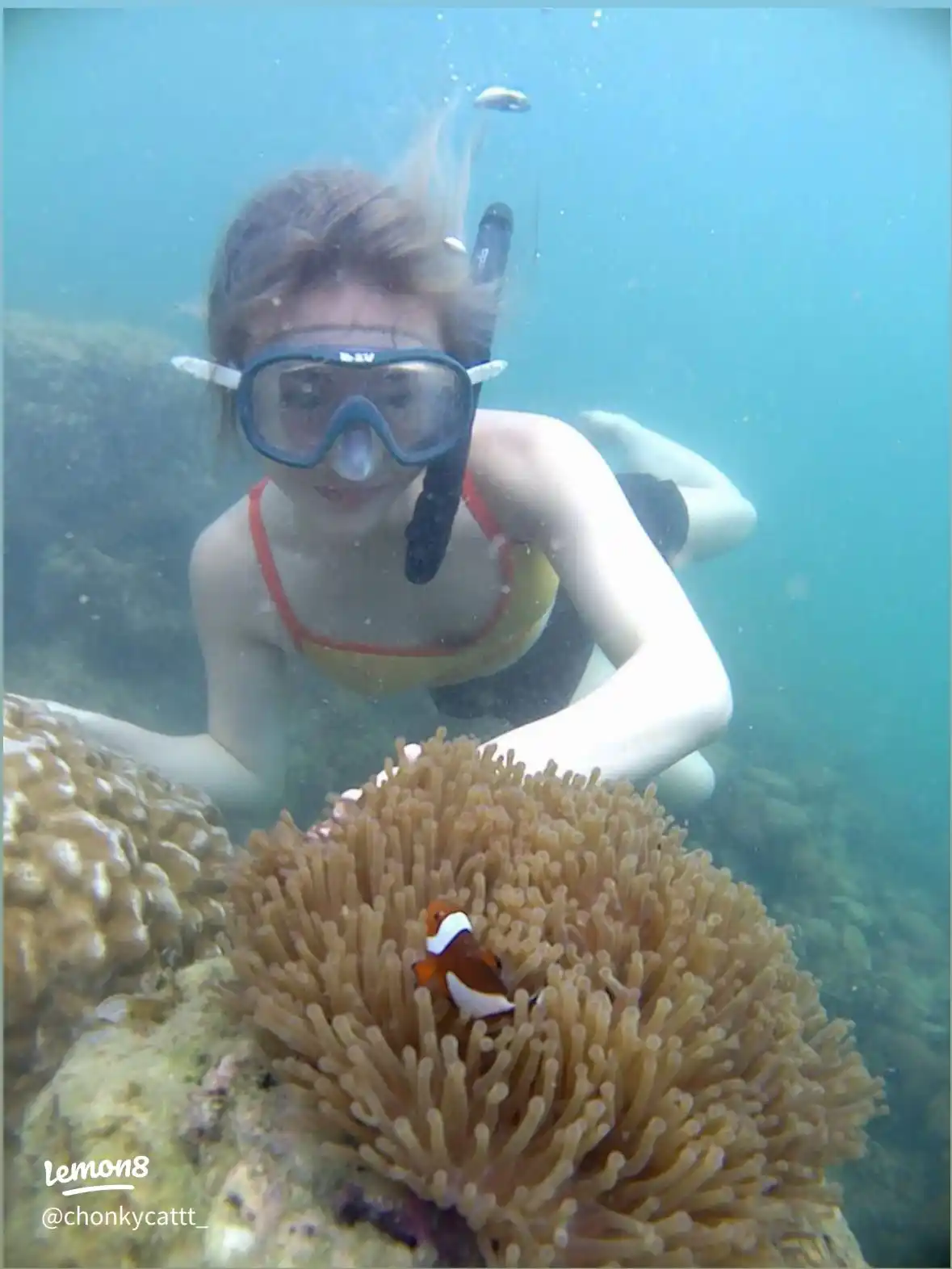 Snorkeling Adventure in Bintan